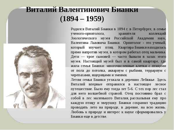 Краткая биография бианки