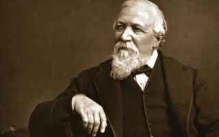 Краткая биография бройн