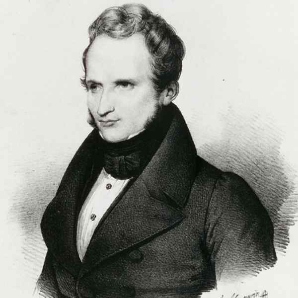 Краткая биография виньи