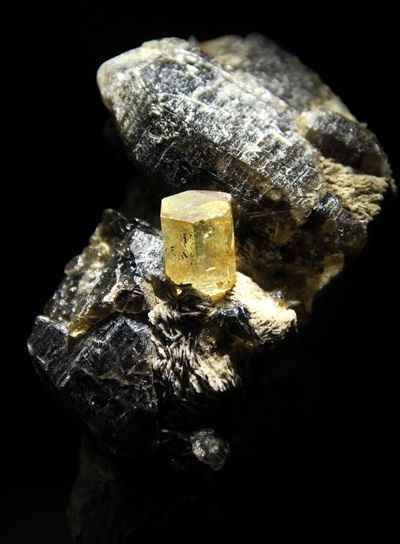 Краткая биография гелиодор