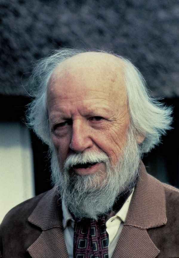 Краткая биография голдинг