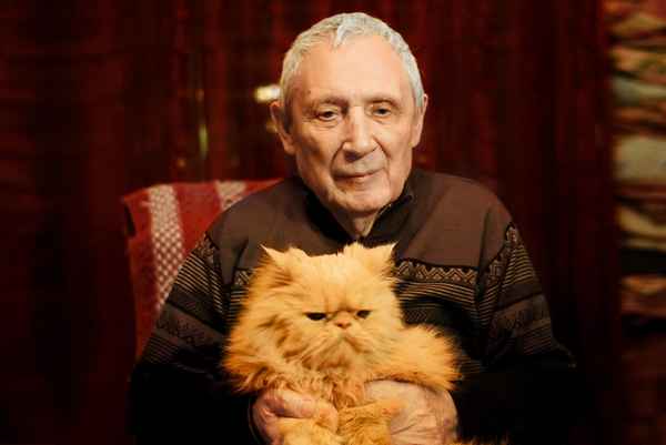 Краткая биография мамлеев