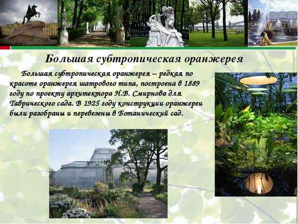 Краткая биография сад