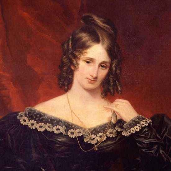 Краткая биография шелли м.