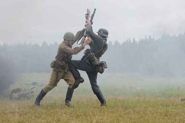 Борьба немцев против немцев